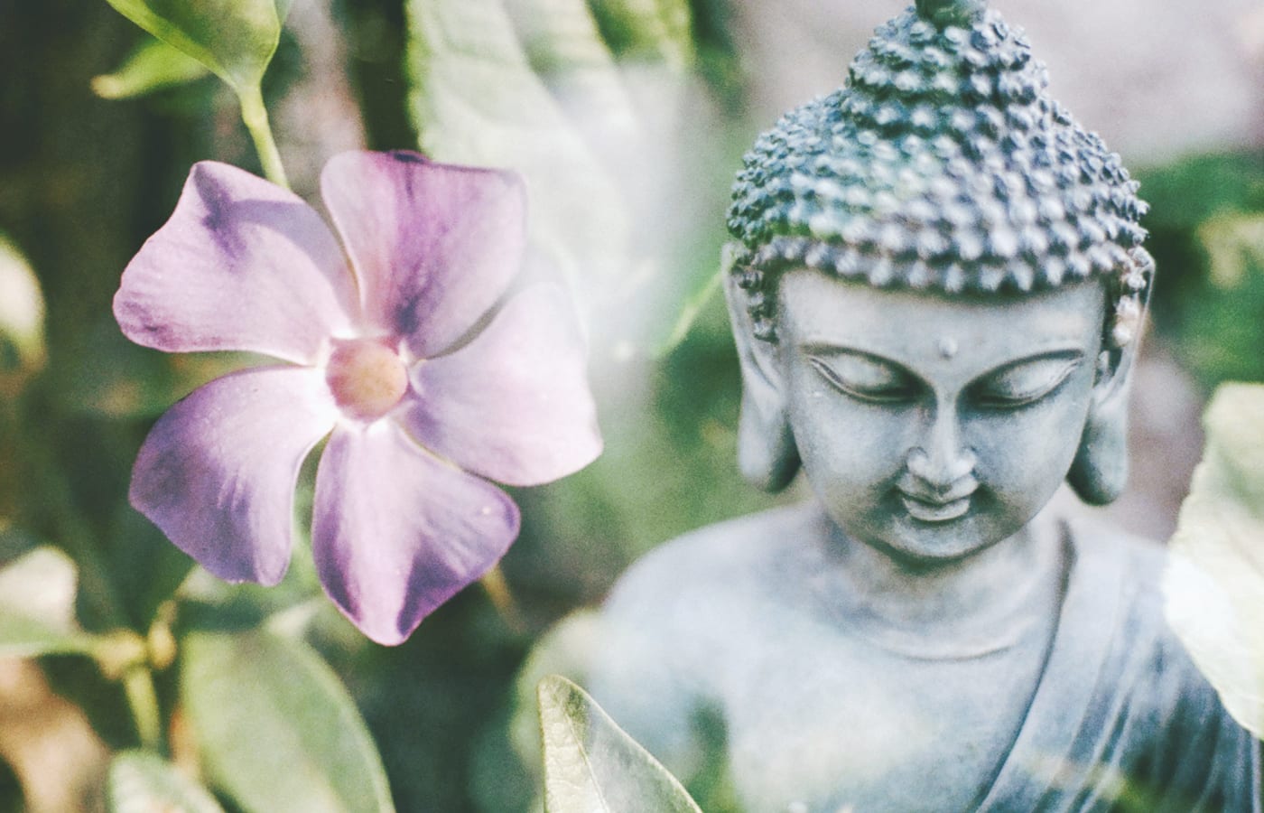 Reiki — foto 10